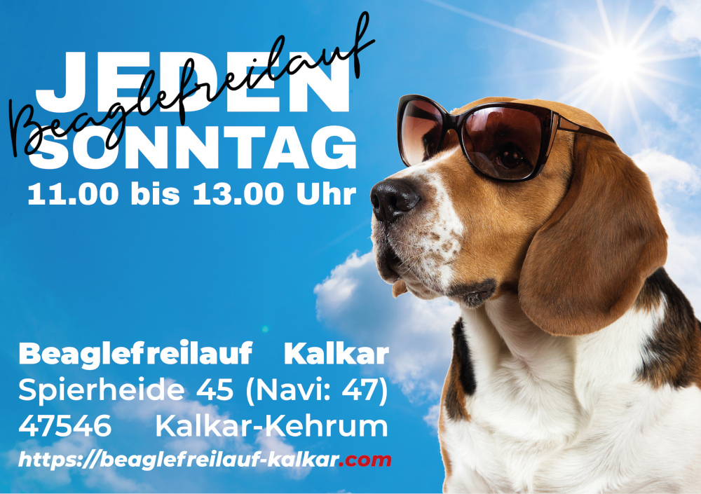Beaglefreilauf Kalkar jeden Sonntag