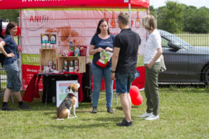 Beaglefreilauf Wiesenfest 2022
