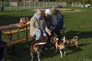 Beaglefreilauf Kalkar