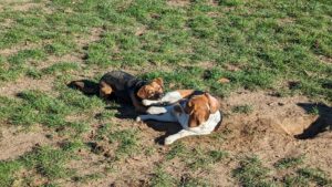 2768101d-e9d6-4a1c-a400-1f2f7cc5d609