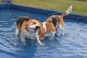 1WhatsApp Bild 2025-05-25 um 13.15.02_3b33112d