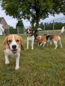 WhatsApp Bild 2025-05-25 um 13.15.03_4e9d235d