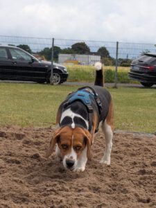 WhatsApp Bild 2025-05-25 um 13.15.03_fe4ac97b