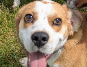 WhatsApp Bild 2025-05-25 um 13.15.04_70bbcdb8