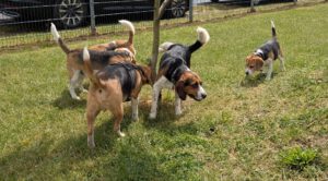 WhatsApp Bild 2025-05-25 um 13.15.04_953d483a