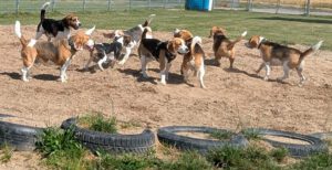 WhatsApp Bild 2025-06-29 um 15.05.10_41384b15