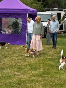 Beaglefreilauf Kalkar Bürgermeisterin Dr. Britta Schulz